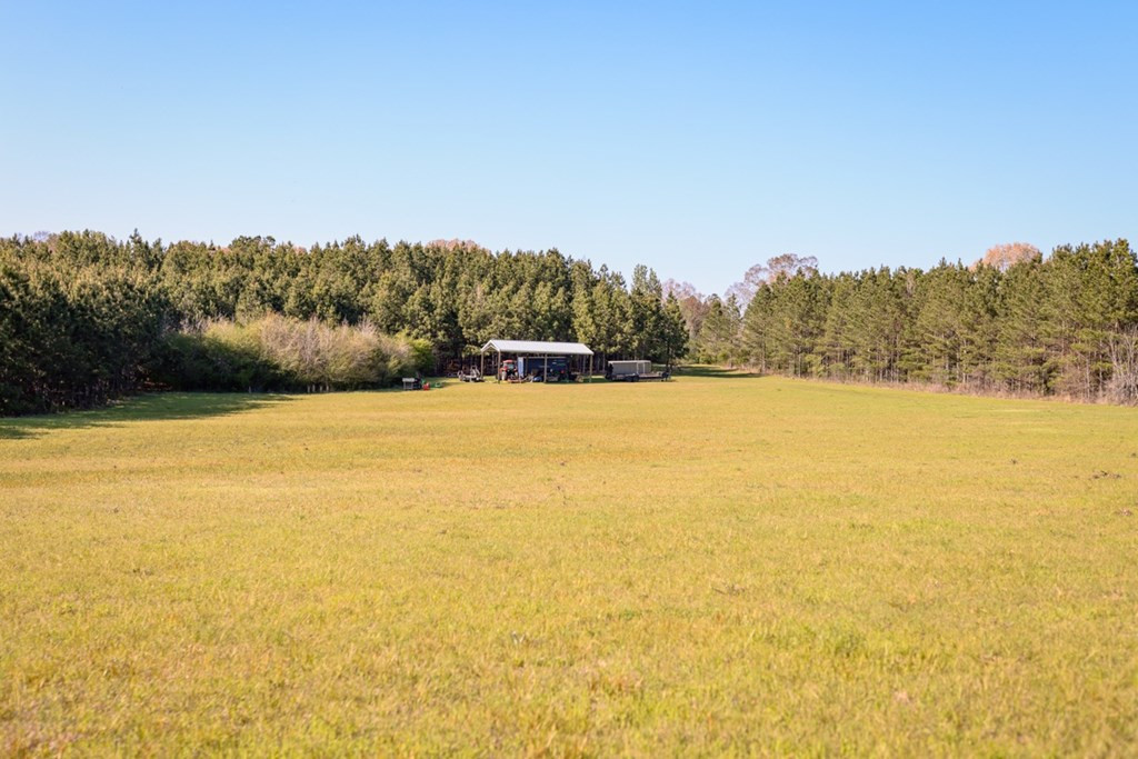 6596 McBride Road Pattison, MS 39144 - Photo 9 of 30 Photo 9
