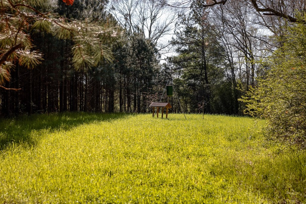 6596 McBride Road Pattison, MS 39144 - Photo 10 of 30 Photo 10