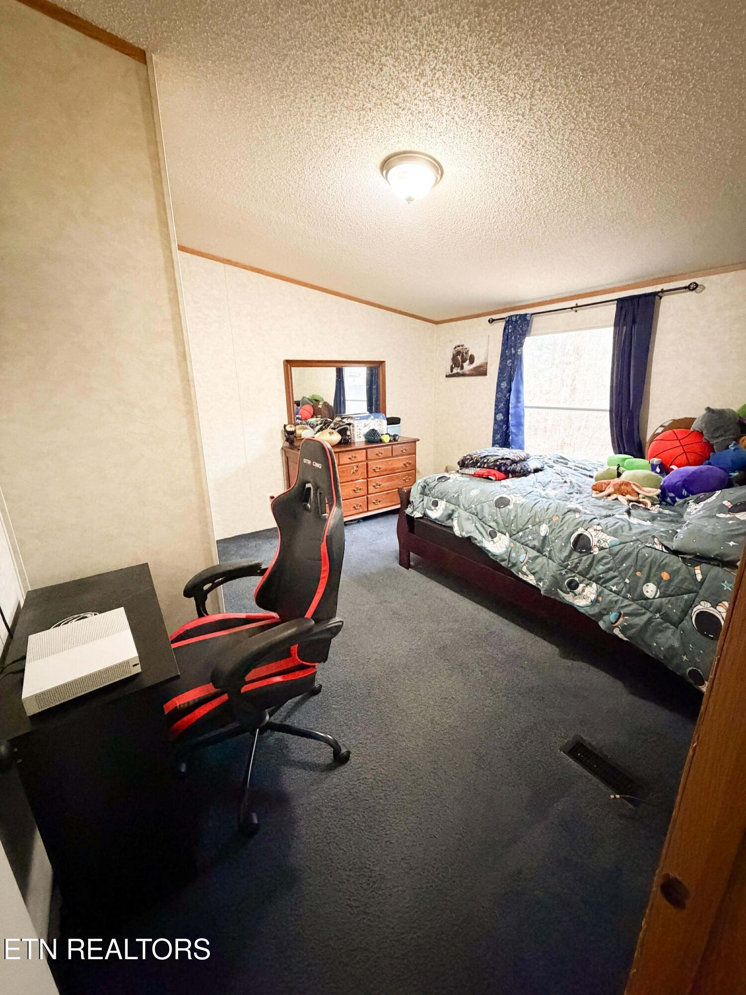 238 Hanging Rock Road Harriman, TN 37748 - Photo 5 of 11 bedroom2