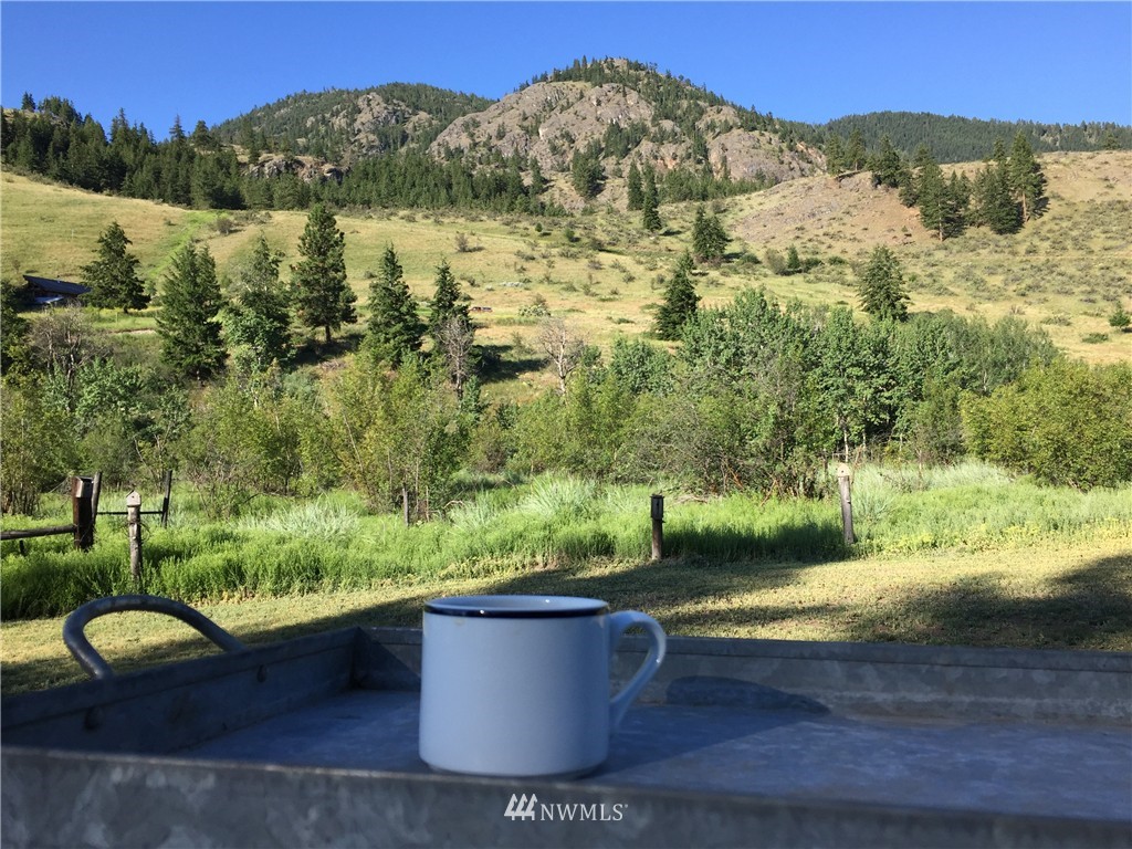40 Rattlesnake Way Twisp, WA 98856 - Photo 8 of 25