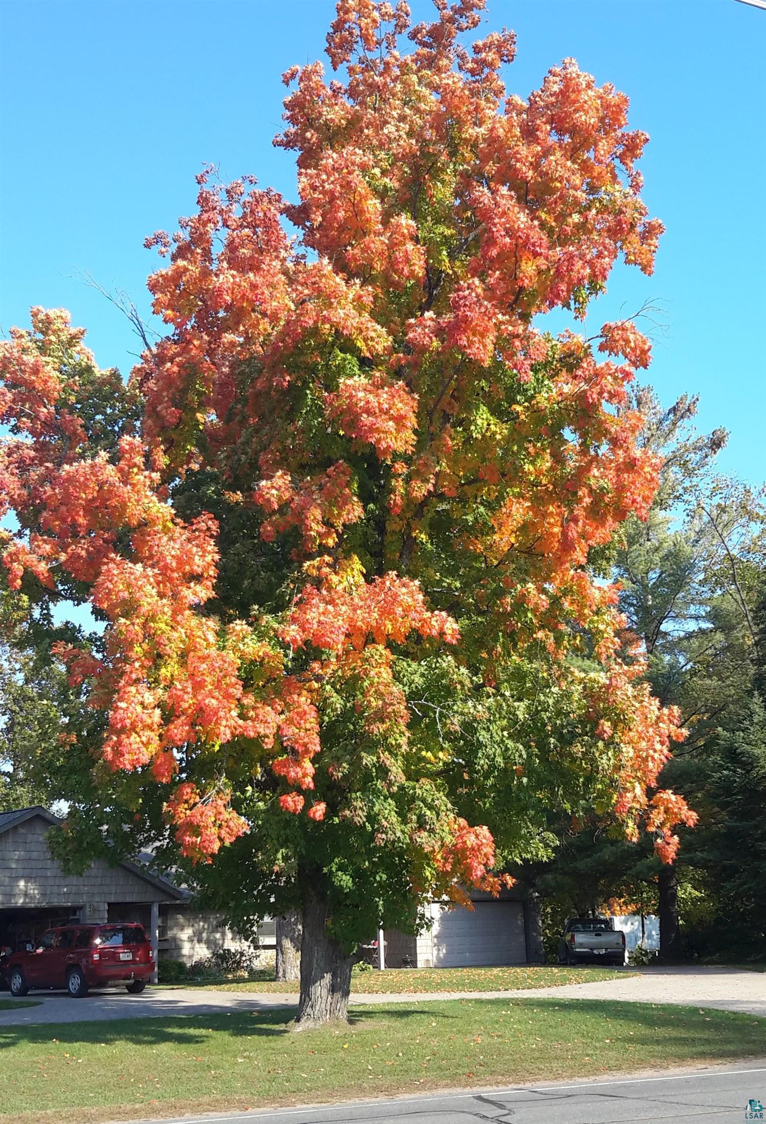 11615 East County Rd B Lake Nebagamon, WI 54849 - Photo 4 of 46 Fall Maple tree color