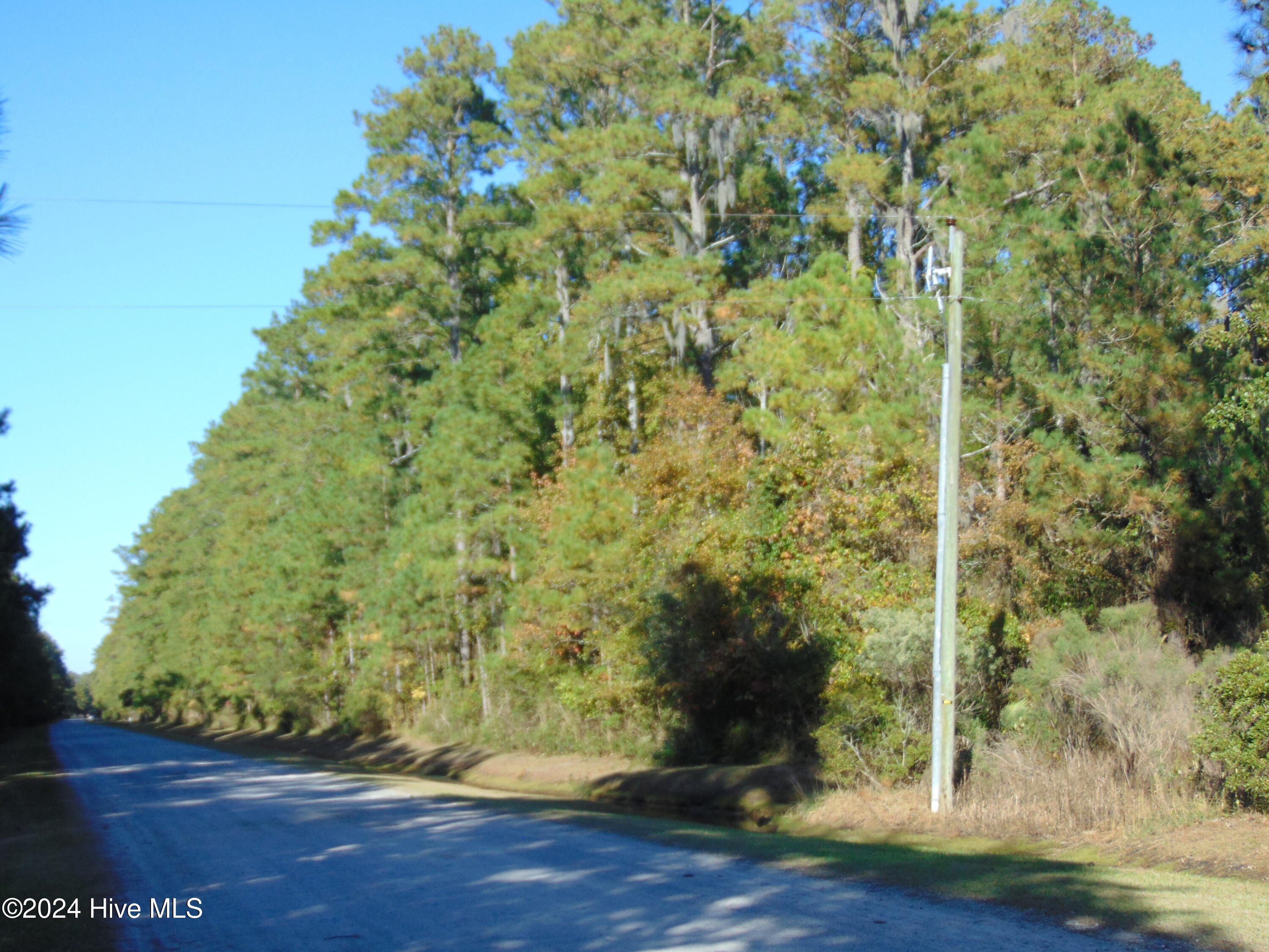 1-2 Spring Drive Road Aurora, NC 27806 - Photo 10 of 19 DSC00112