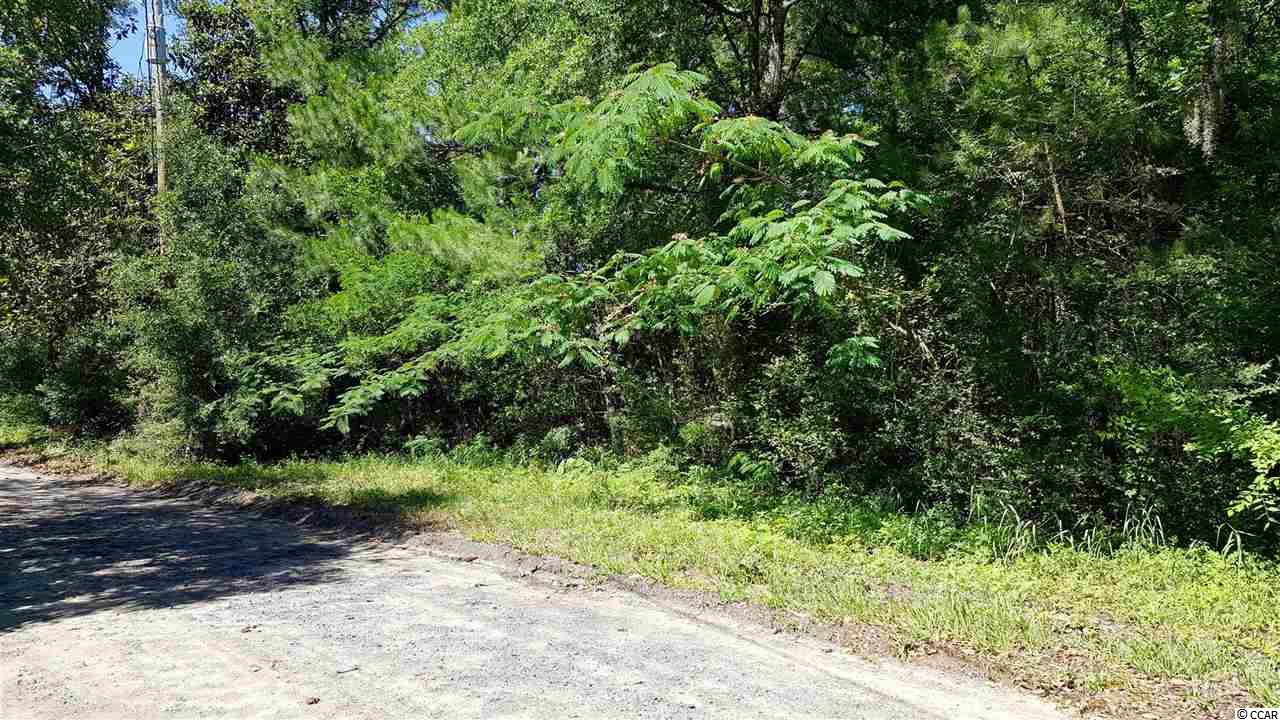 Tbd Ford Road Pawleys Island, SC 29585 - Photo 1 of 6 Gallery Image 1
