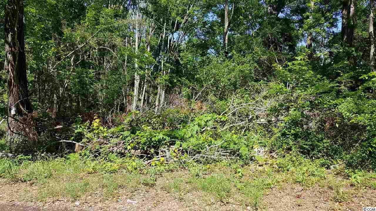 Tbd Ford Road Pawleys Island, SC 29585 - Photo 2 of 6 Gallery Image 2