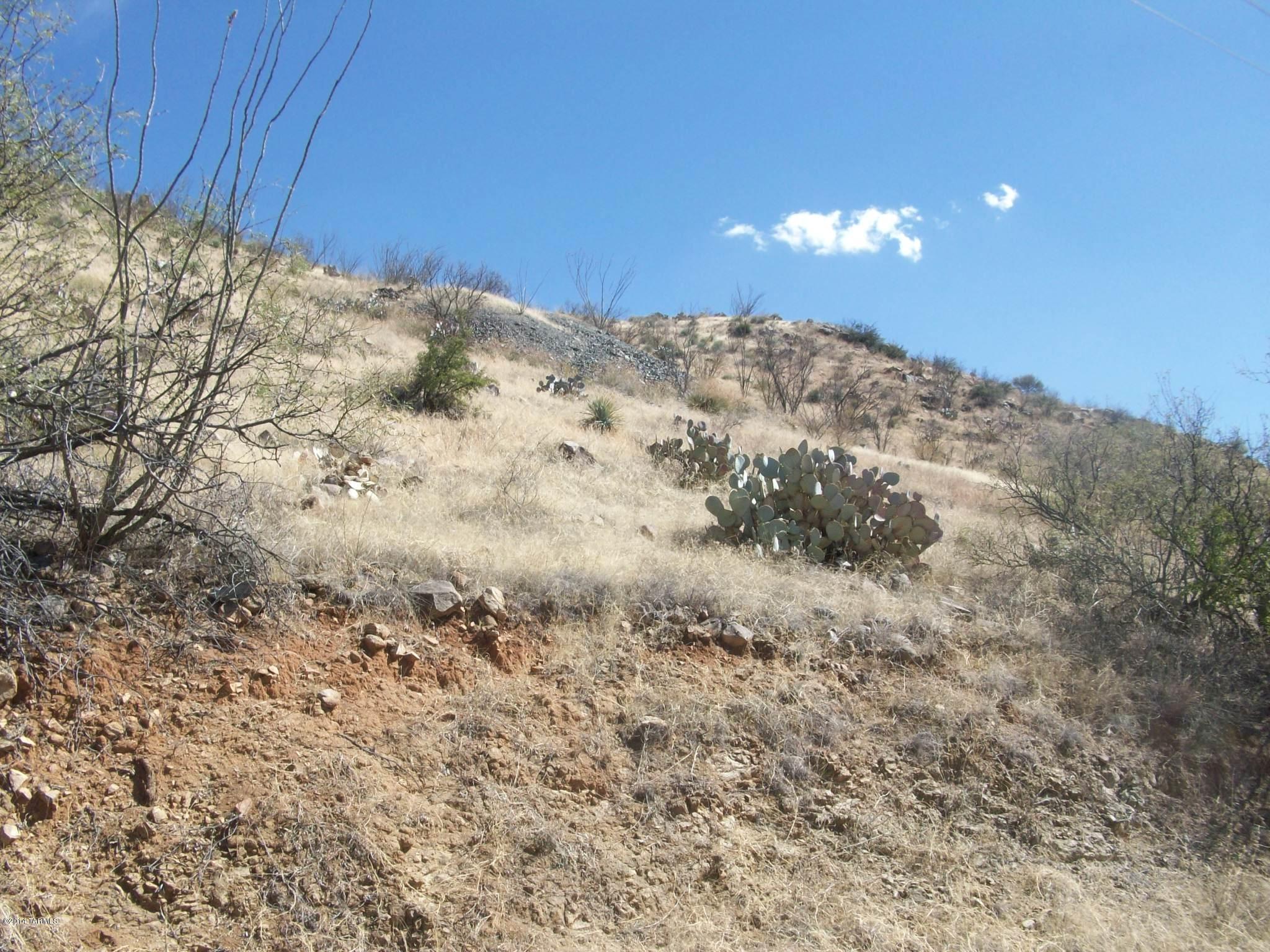 1415 Vía San Cayetano Rio Rico, AZ 85648 - Photo 2 of 12
