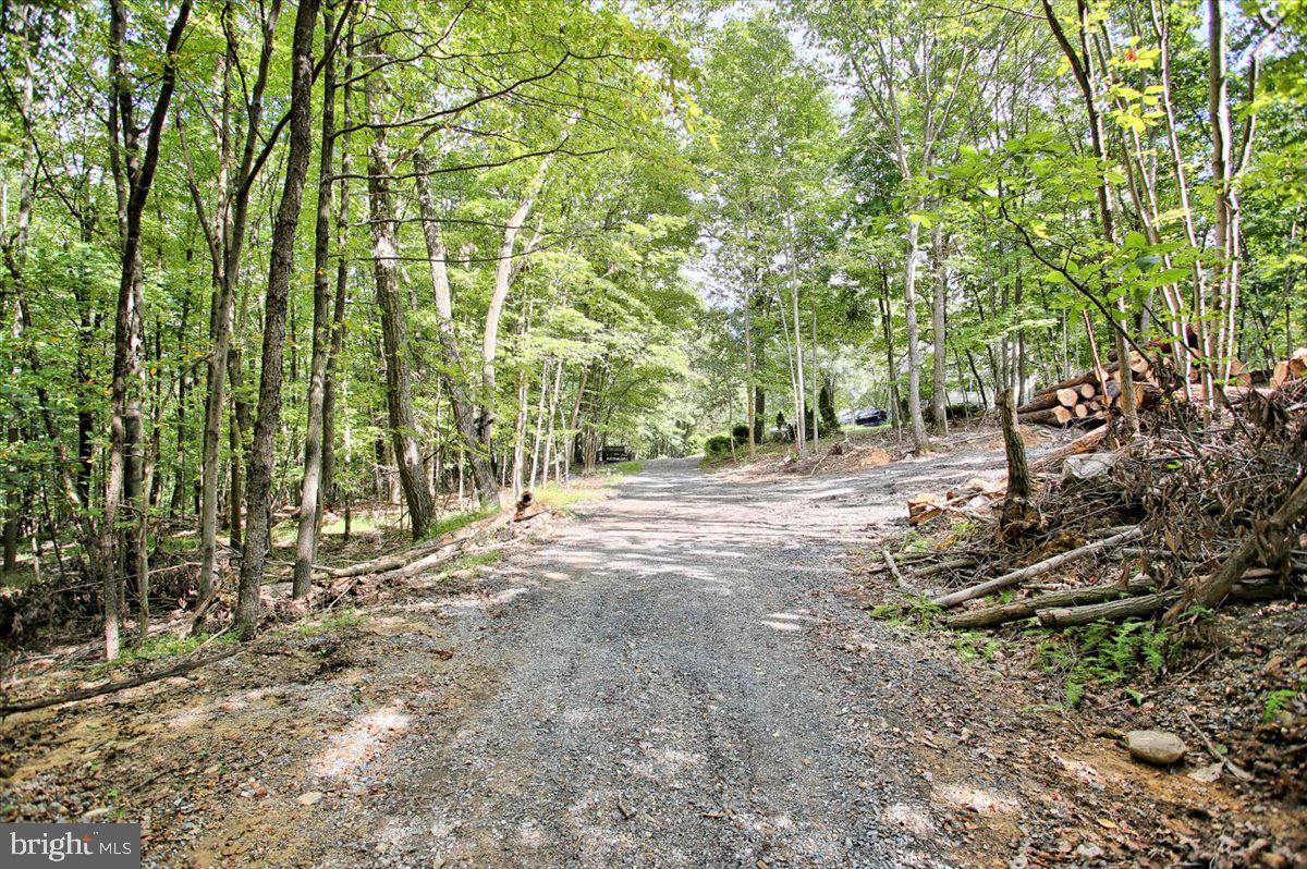 1261 A Indian Peg Road Boiling Springs, PA 17007 - Photo 4 of 24 Gallery Image 4