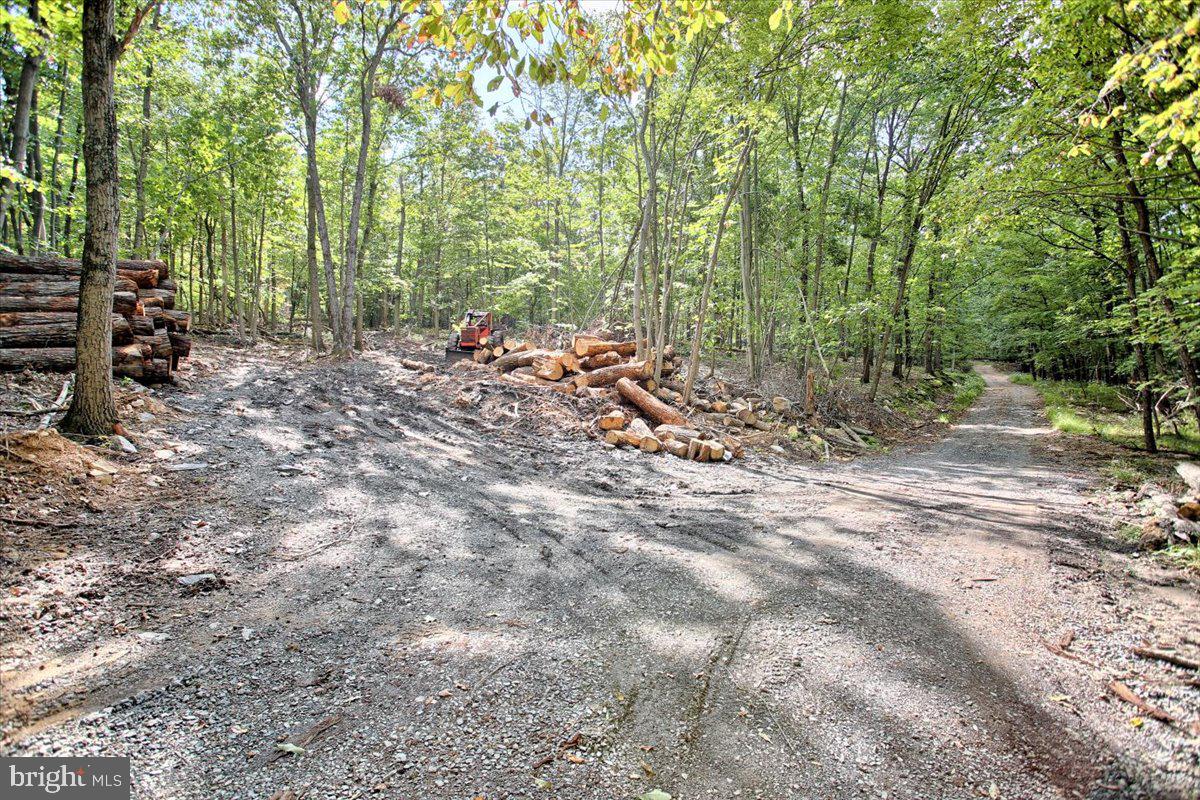 1261 A Indian Peg Road Boiling Springs, PA 17007 - Photo 7 of 24 Gallery Image 7