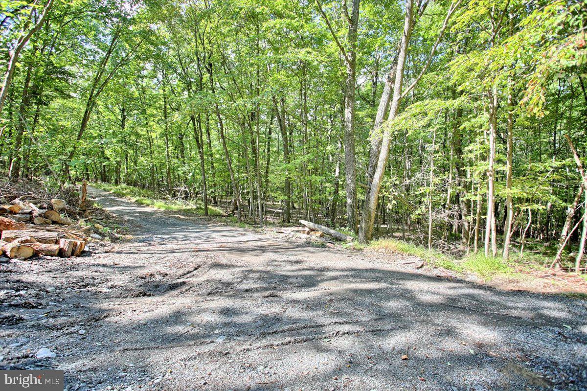 1261 A Indian Peg Road Boiling Springs, PA 17007 - Photo 8 of 24 Gallery Image 8