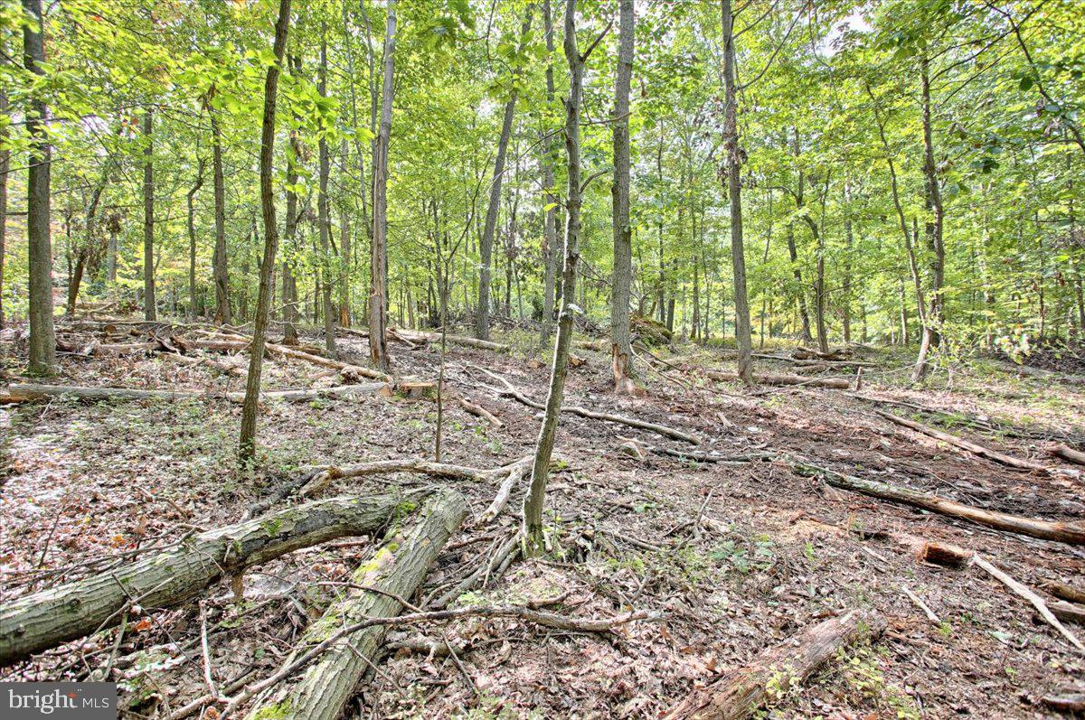 1261 A Indian Peg Road Boiling Springs, PA 17007 - Photo 9 of 24 Gallery Image 9