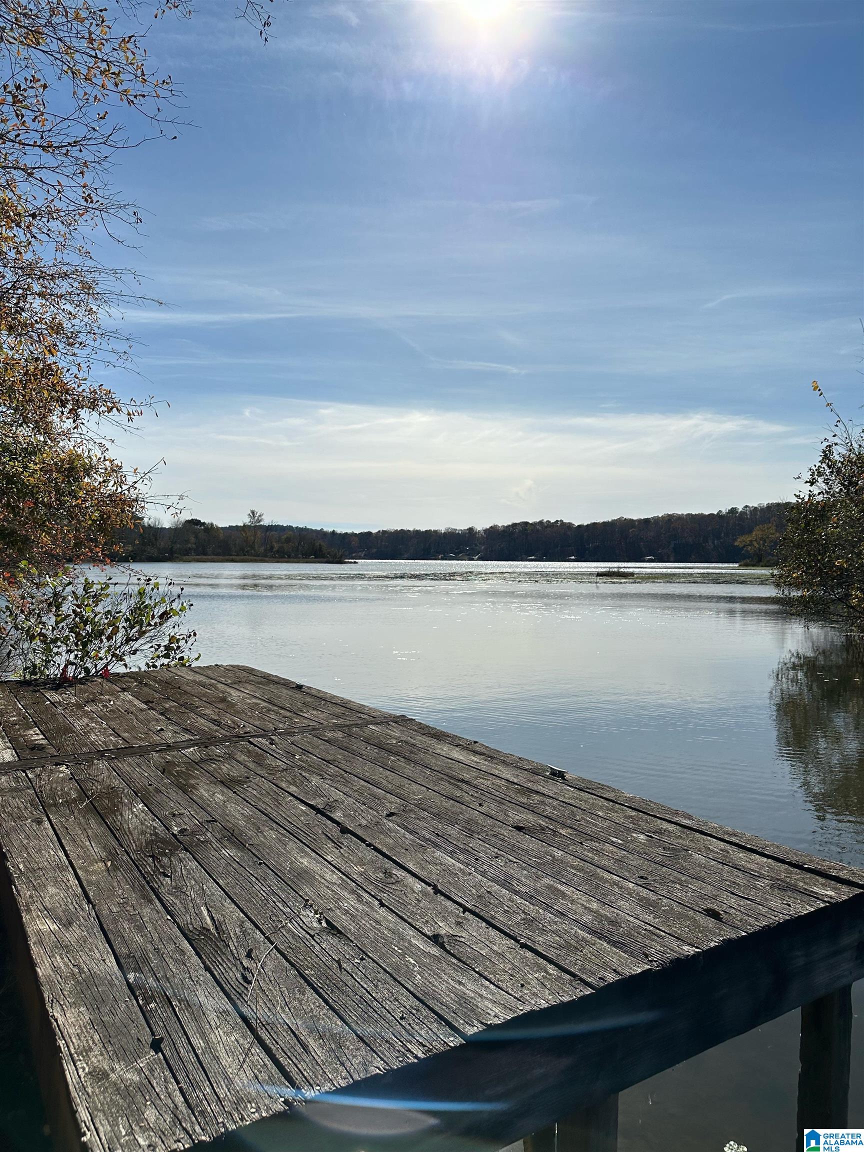 Lot 5 Carleton Point, Unit 5 Wilsonville, AL 35186 - Photo 4 of 12