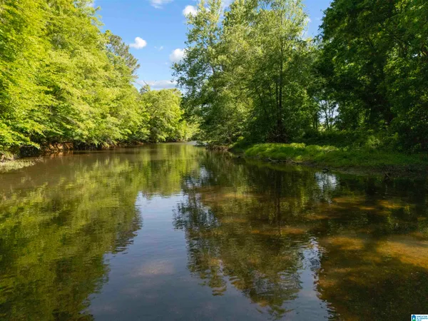 $239,900 | 175 County Road 175, Unit 13 ACRES, Piedmont, AL 36272