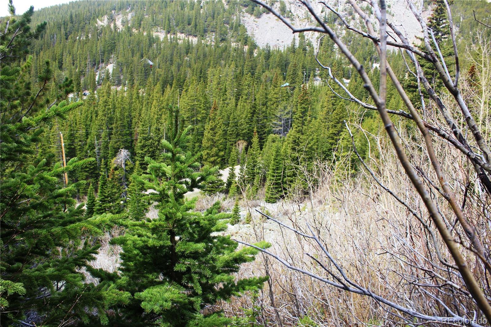 0 Mine Road Idaho Springs, CO 80452 - Photo 16 of 26 Gallery Image 16