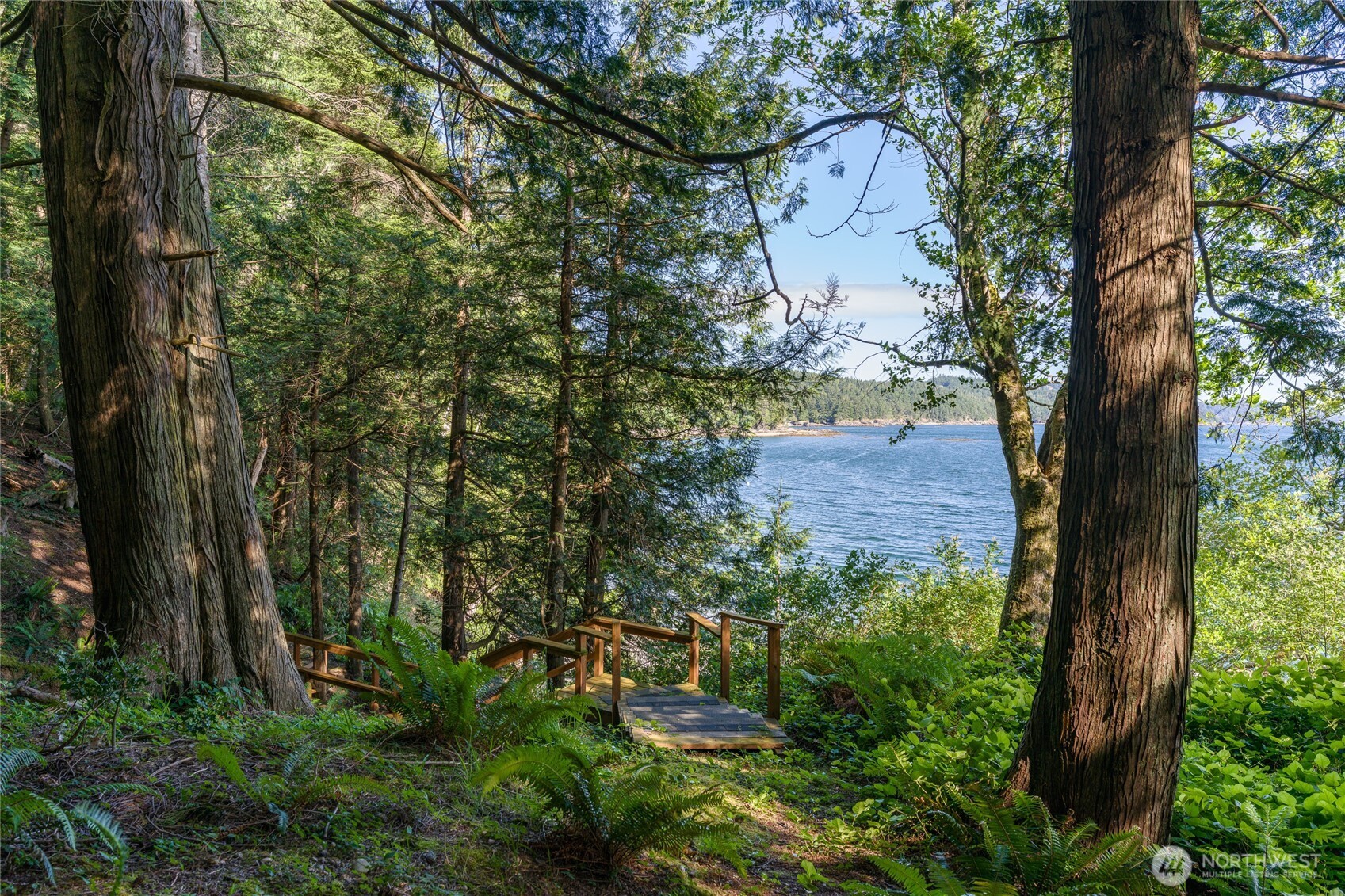 2101 Dolphin Bay Road Orcas Island, WA 98245 - Photo 11 of 38