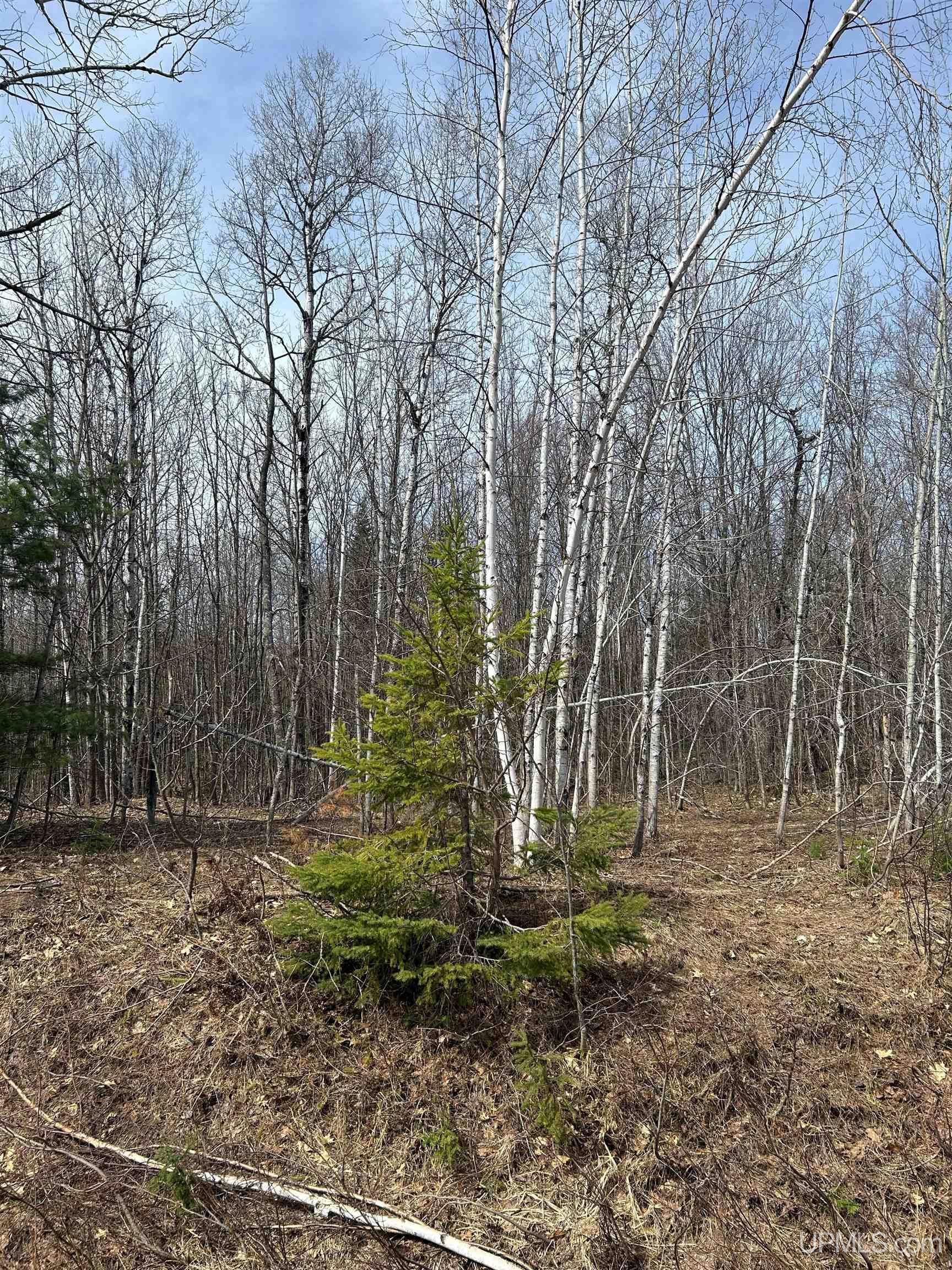 4-10 Firesteel Road Ontonagon, MI 49953 - Photo 17 of 28