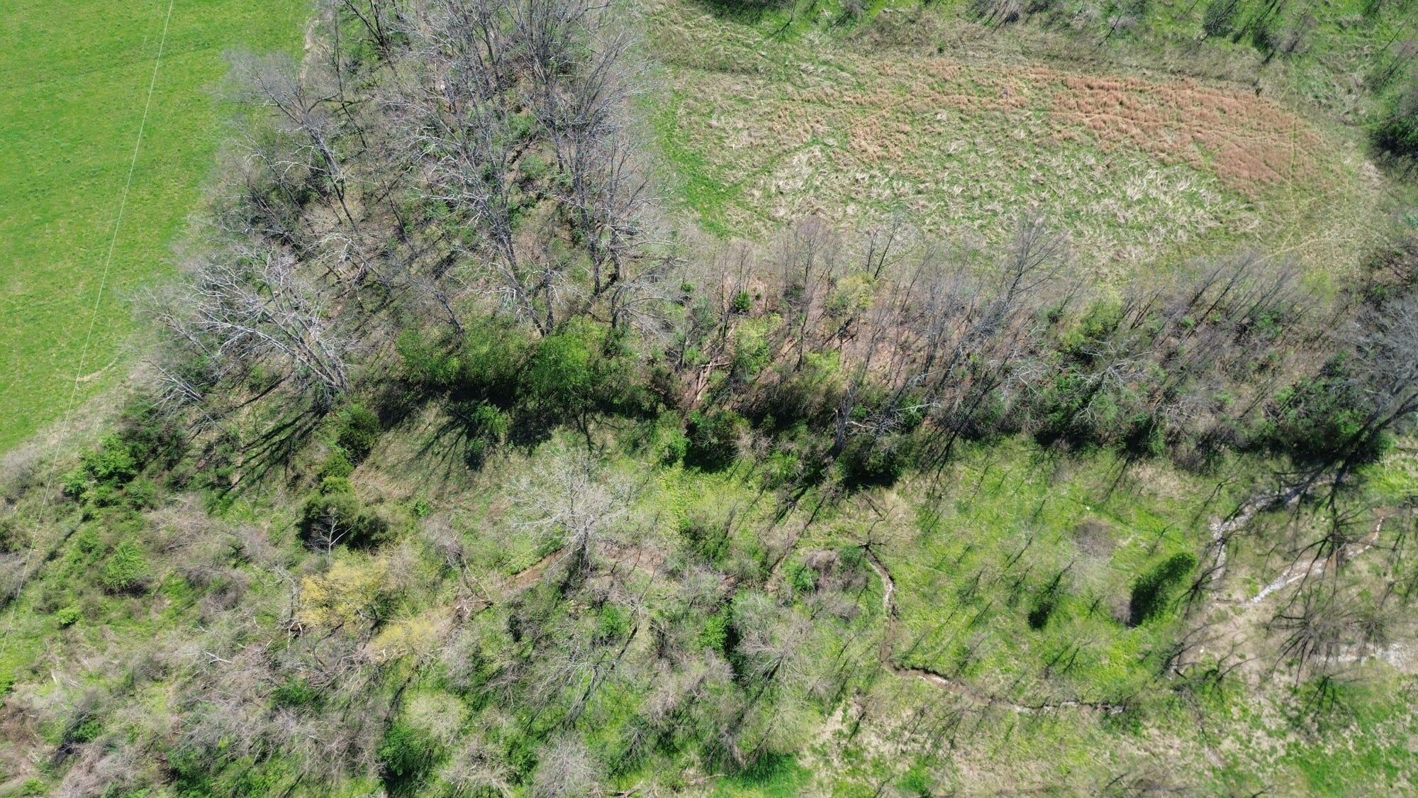 20 A Mint Ridge Road Carlisle, KY 40311 - Photo 9 of 22 9