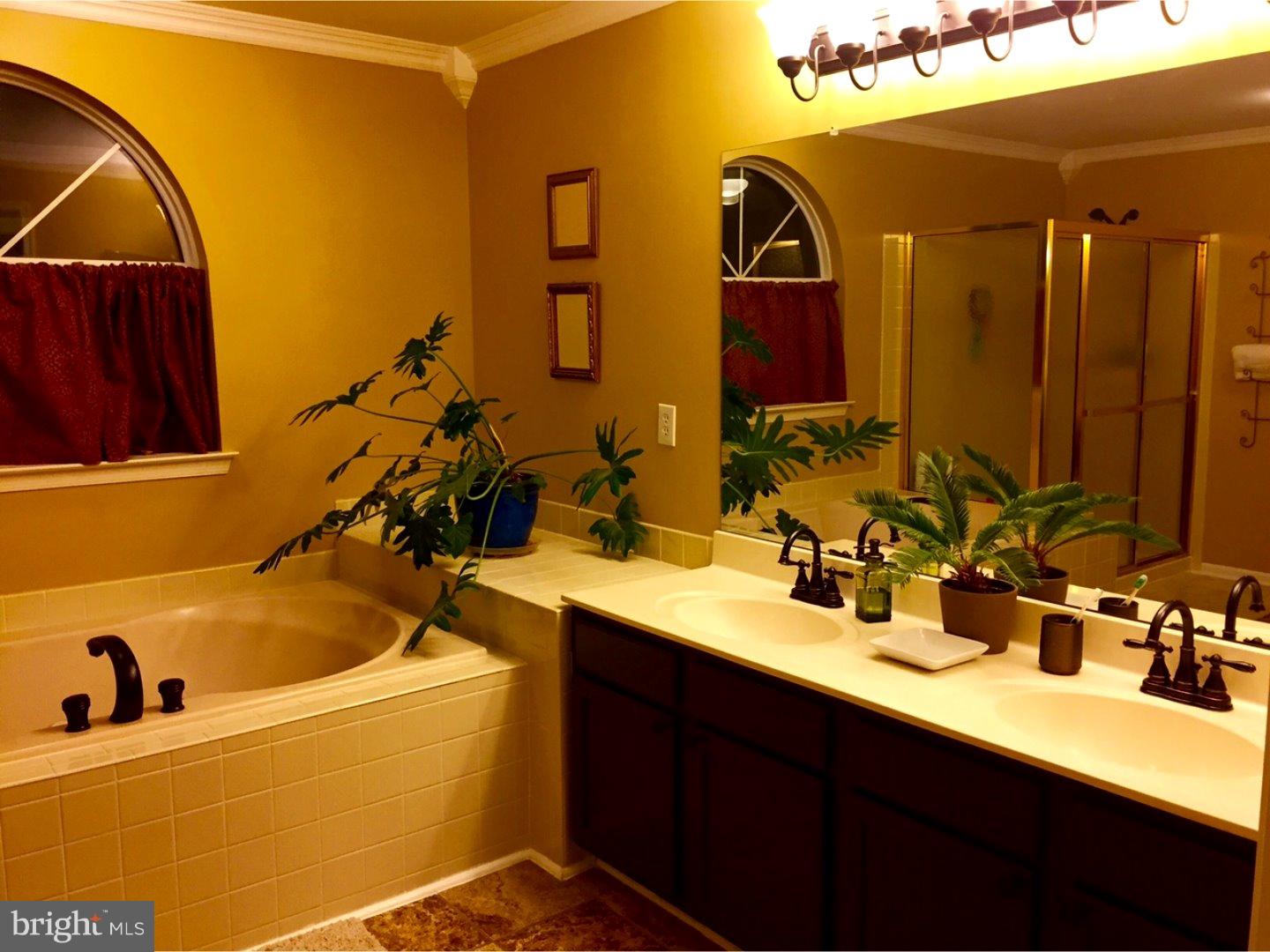 52 Raintree Drive Sicklerville, NJ 08081 - Photo 21 of 24 Master Bathroom