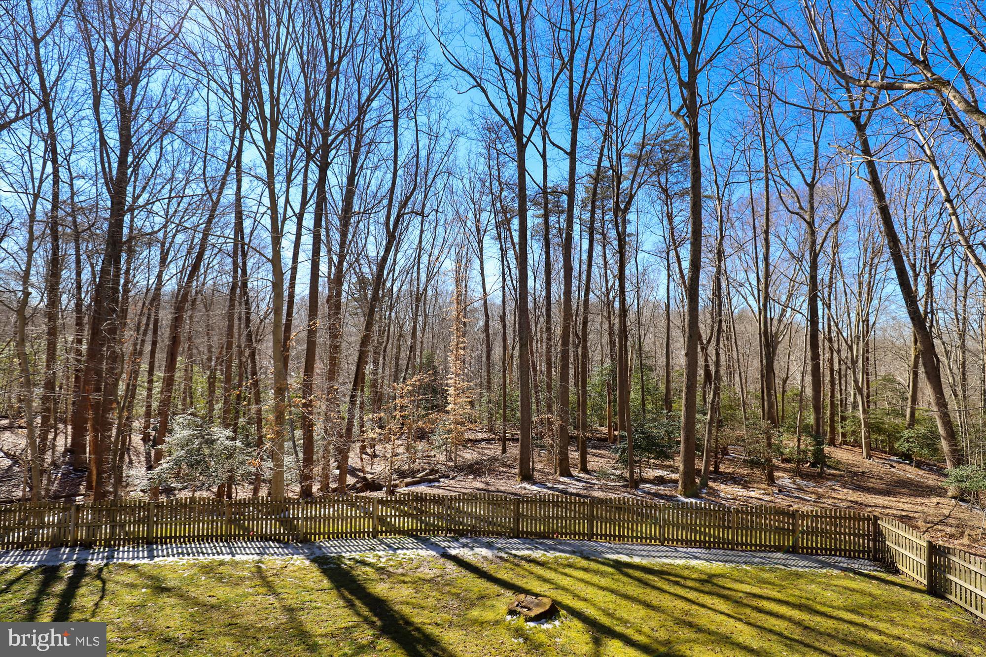 3220 Hickory Ridge Road Dunkirk, MD 20754 - Photo 38 of 39 Beautiful Fenced in Yard Backing to Woods