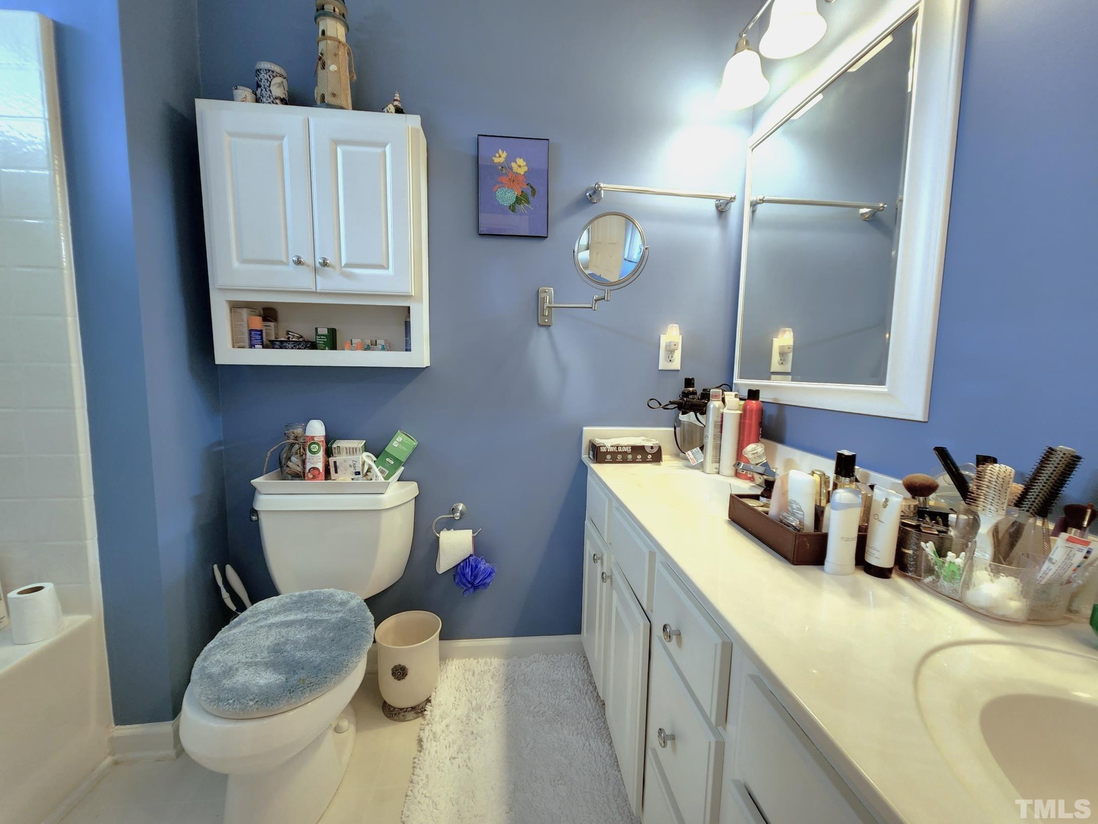 307 Latta Circle Durham, NC 27712 - Photo 20 of 37 a bathroom with a toilet sink and mirror