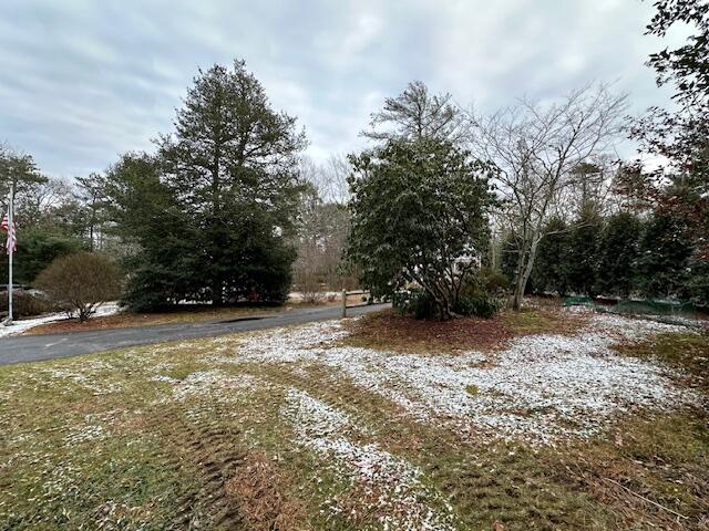 14 Linden Road Mashpee, MA 02649 - Photo 33 of 35 IMG_7604