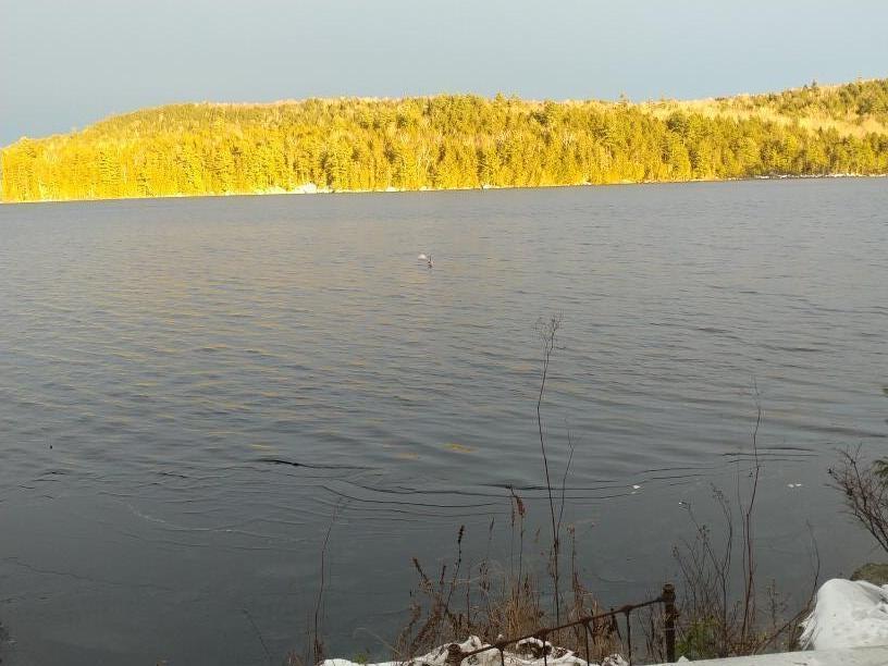 51 2nd Davis Pond Road Willimantic, ME 04443 - Photo 11 of 30 20221121_152744_resized