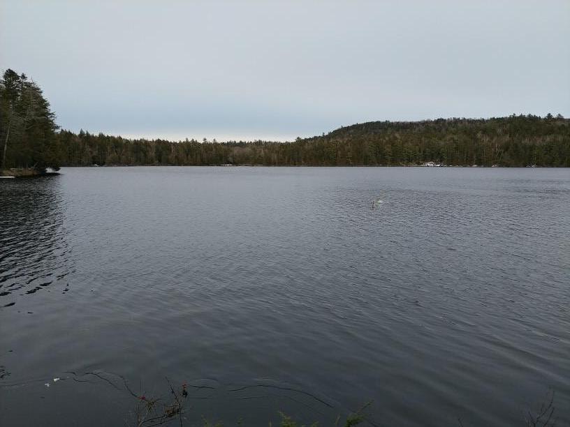 51 2nd Davis Pond Road Willimantic, ME 04443 - Photo 8 of 30 20221121_151815_resized