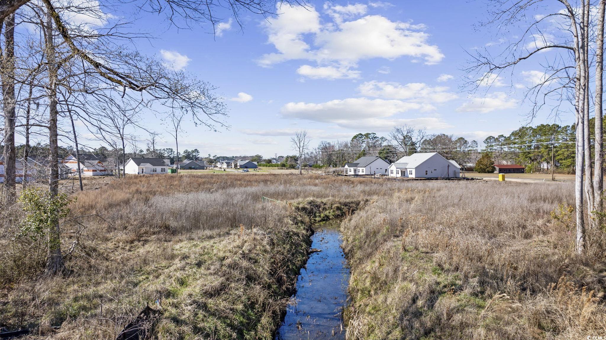 625 State Highway 548 Conway, SC 29527 - Photo 16 of 25 View of yard