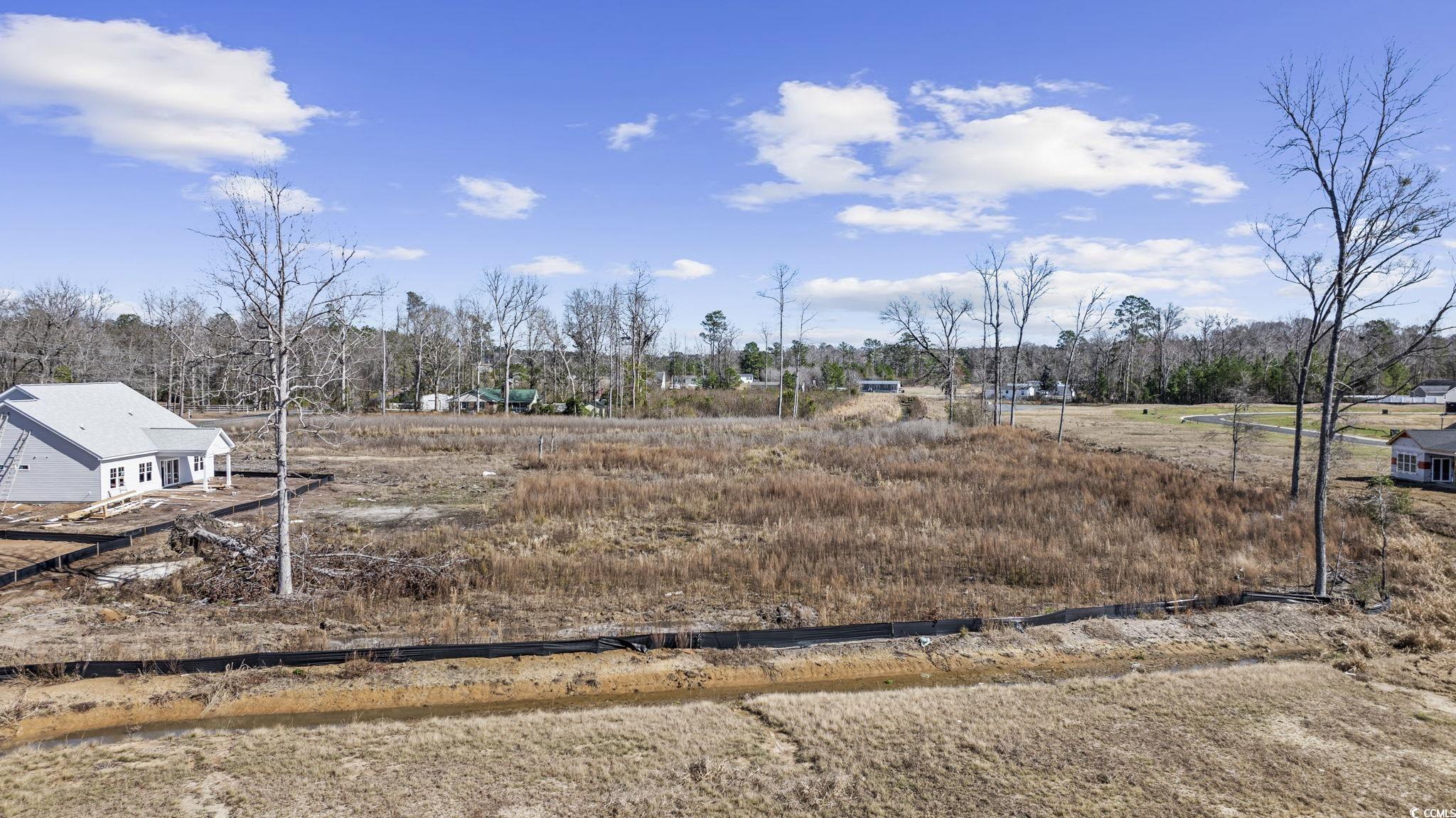 625 State Highway 548 Conway, SC 29527 - Photo 19 of 25 View of yard with a rural view
