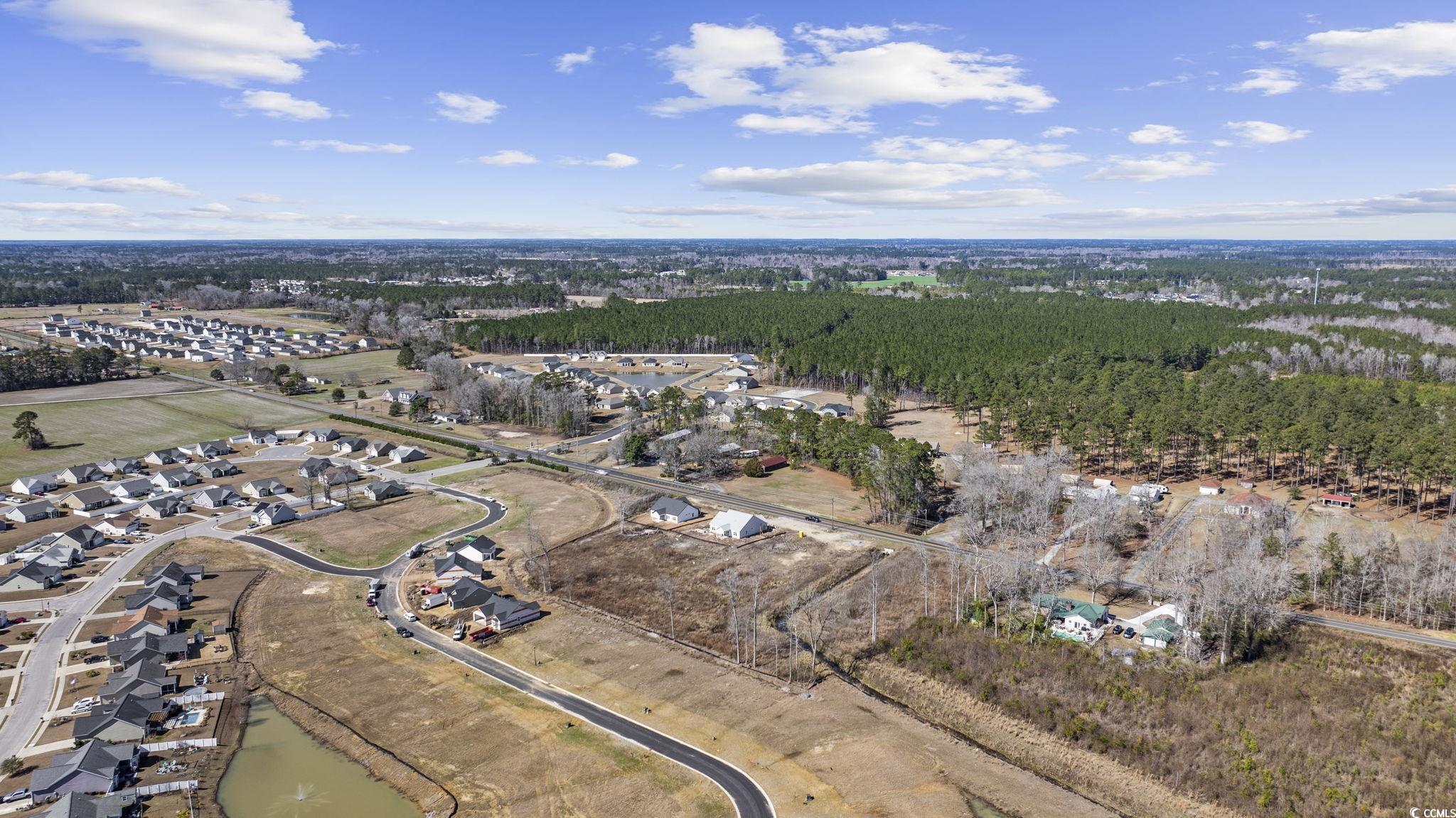 625 State Highway 548 Conway, SC 29527 - Photo 21 of 25 Aerial view with a water view