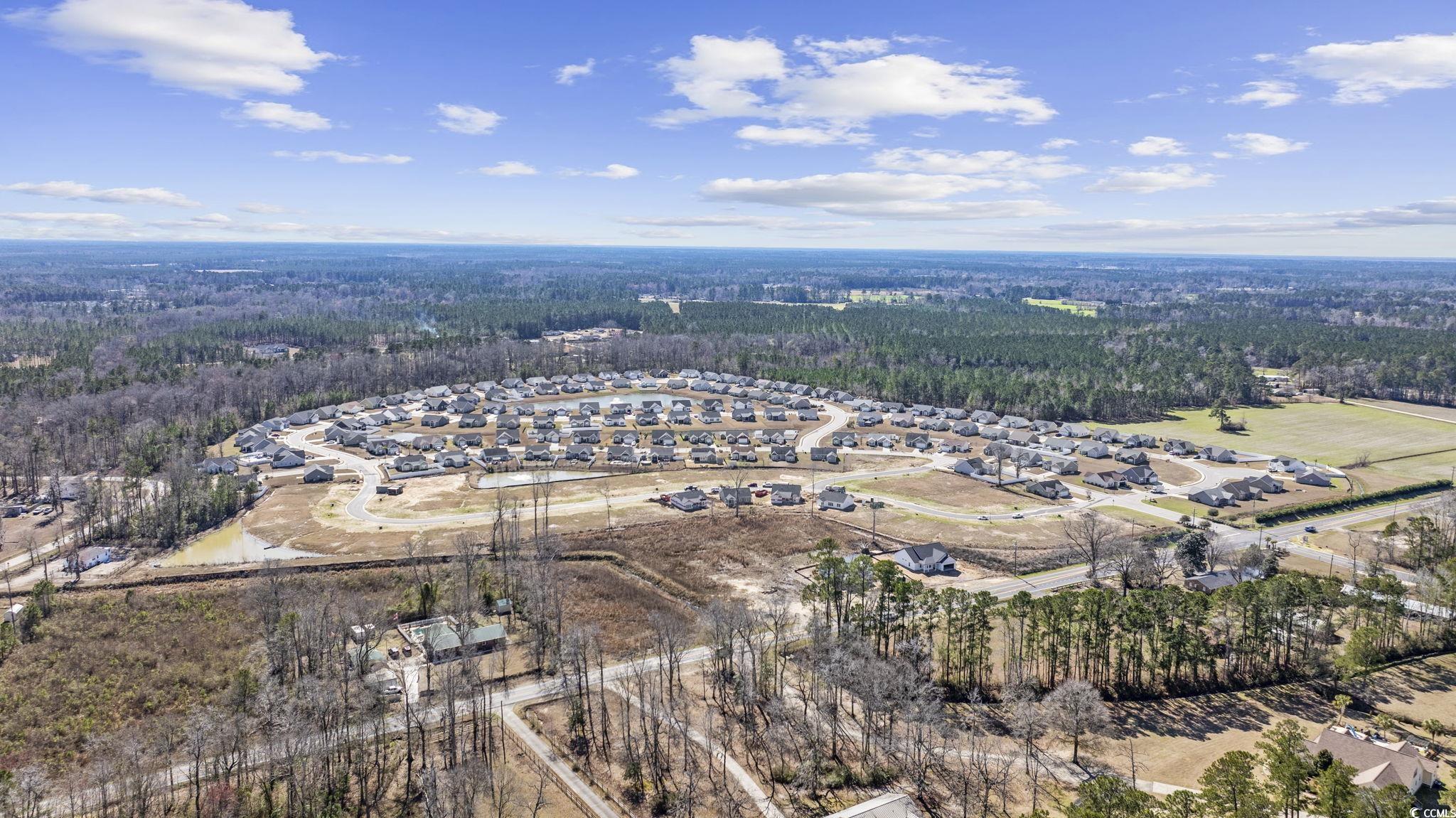625 State Highway 548 Conway, SC 29527 - Photo 24 of 25 Birds eye view of property