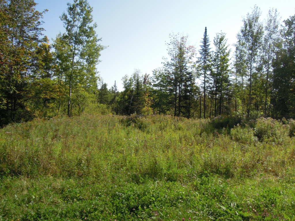 Lot 1 Bowles Road Caribou, ME 04736 - Photo 1 of 5 Photo