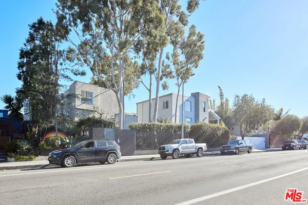 a room that has a tree in it