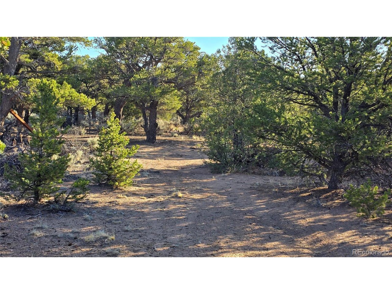 7313 Butcher Road Fort Garland, CO 81133 - Photo 16 of 44 Gallery Image 16