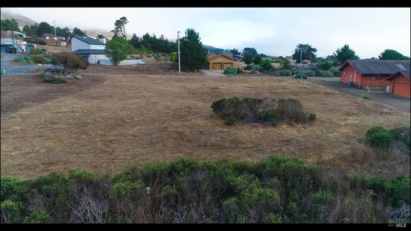 a view of a dry yard with green space