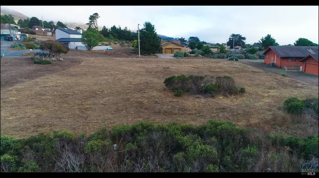 a view of a dry yard with green space