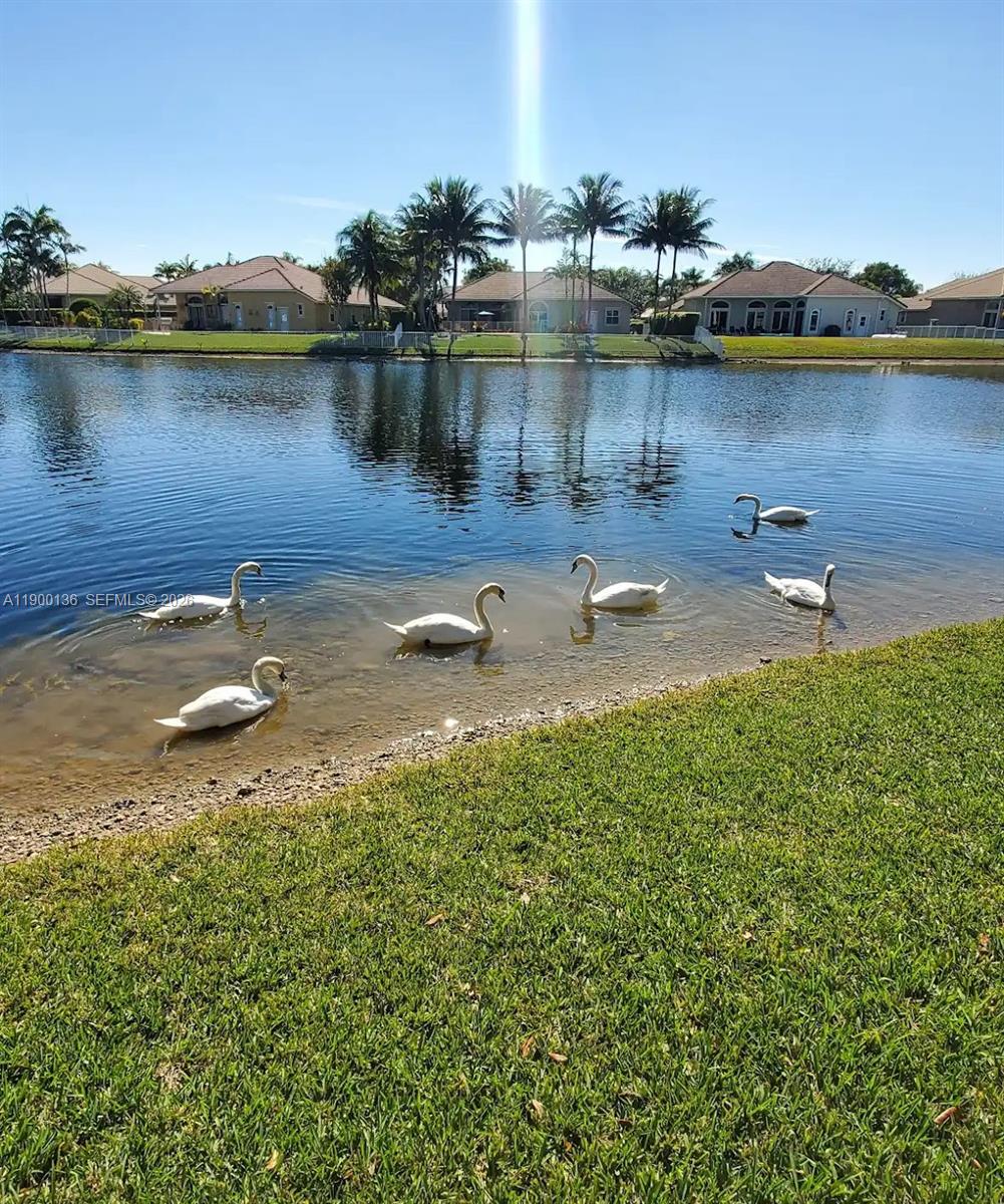 4591 Southwest 131st Terrace Miramar, FL 33027 - Photo 3 of 31 Backyard view