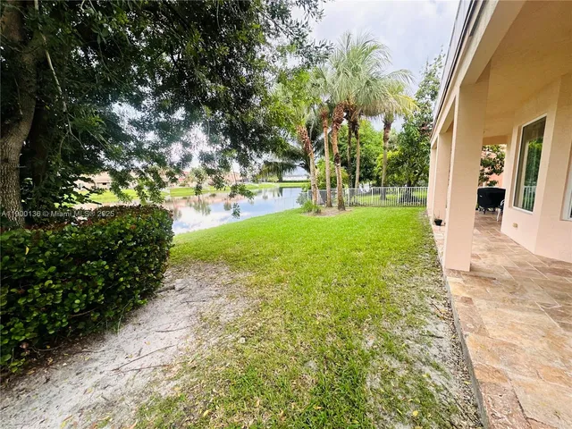 a view of a yard with plants and trees