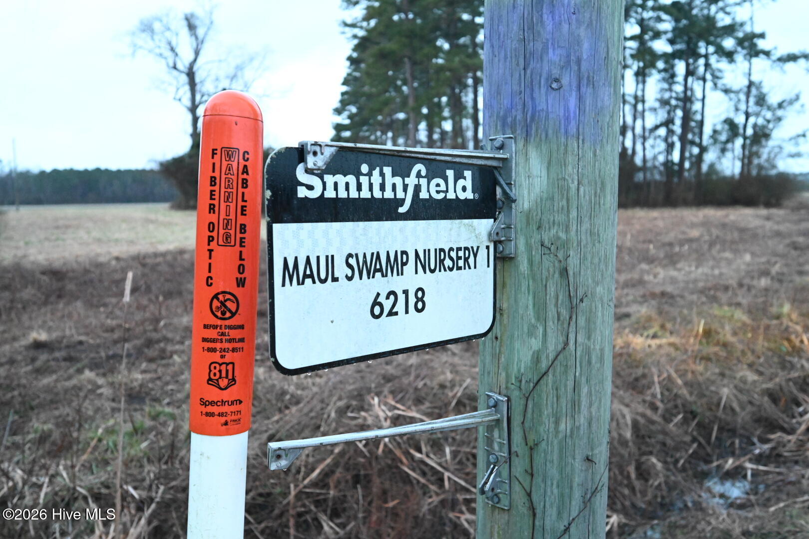 1535 Maul Swamp Road Vanceboro, NC 28586 - Photo 1 of 45 DSC_1482