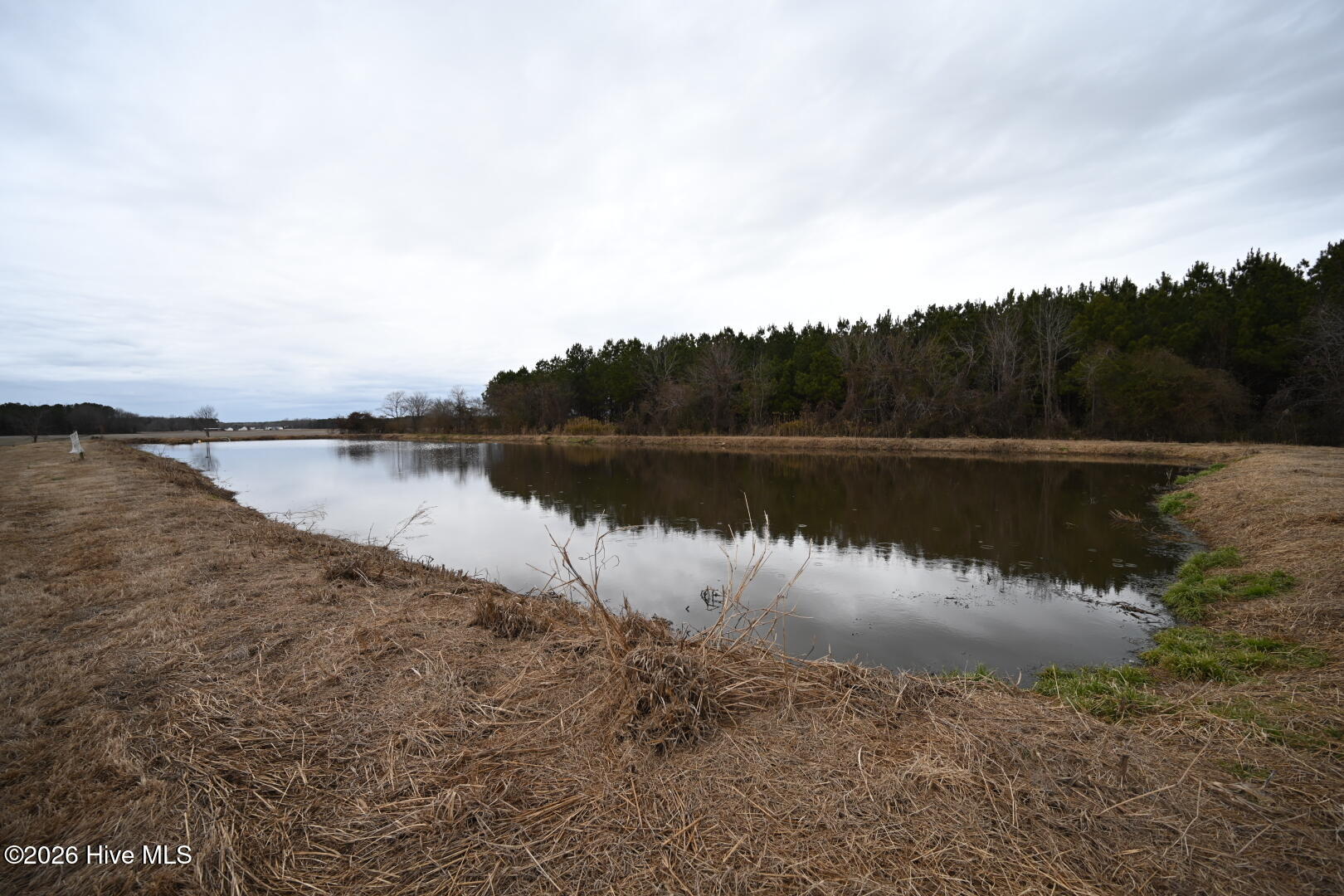 1535 Maul Swamp Road Vanceboro, NC 28586 - Photo 11 of 45 DSC_1447