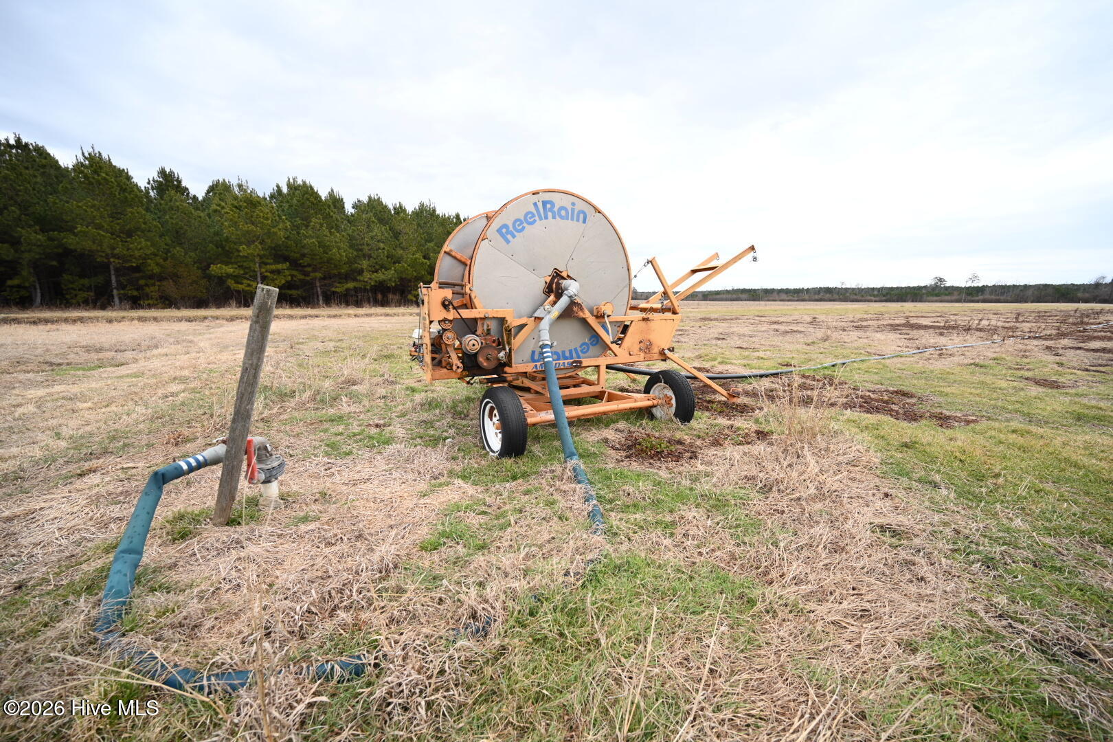 1535 Maul Swamp Road Vanceboro, NC 28586 - Photo 18 of 45 DSC_1458