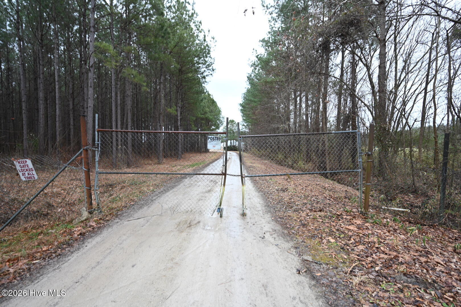 1535 Maul Swamp Road Vanceboro, NC 28586 - Photo 22 of 45 DSC_1462