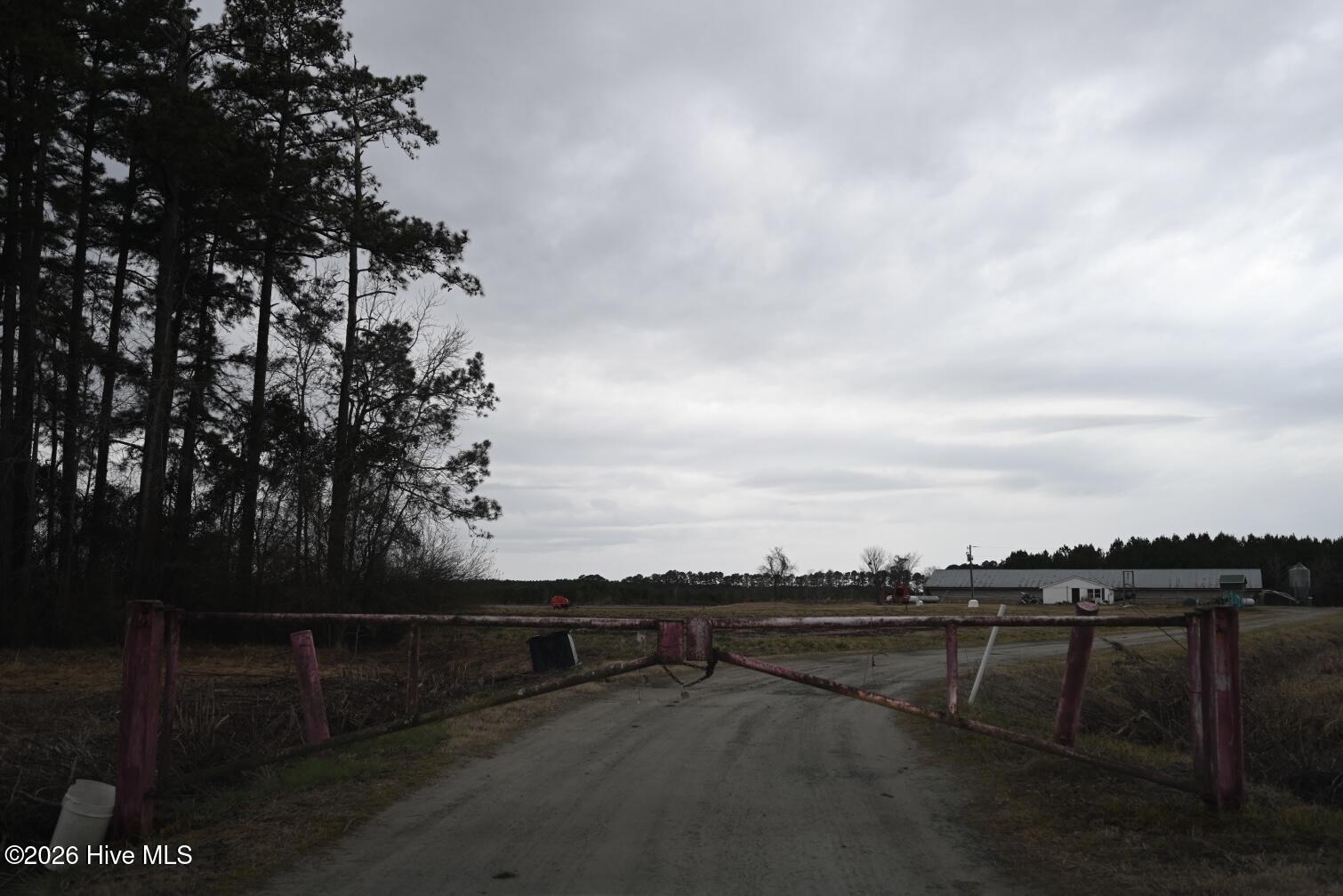 1535 Maul Swamp Road Vanceboro, NC 28586 - Photo 3 of 45 DSC_1438