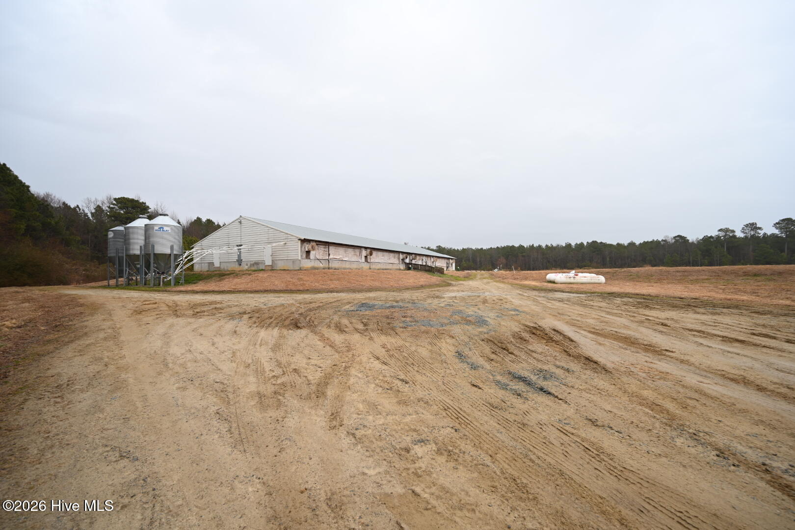 1535 Maul Swamp Road Vanceboro, NC 28586 - Photo 32 of 45 DSC_1474