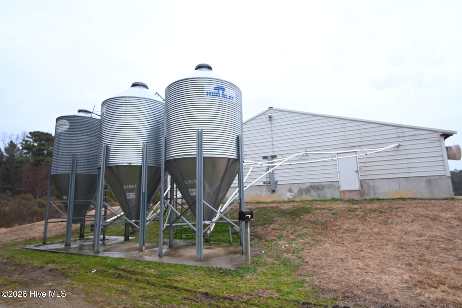 1535 Maul Swamp Road Vanceboro, NC 28586 - Photo 35 of 45 DSC_1478