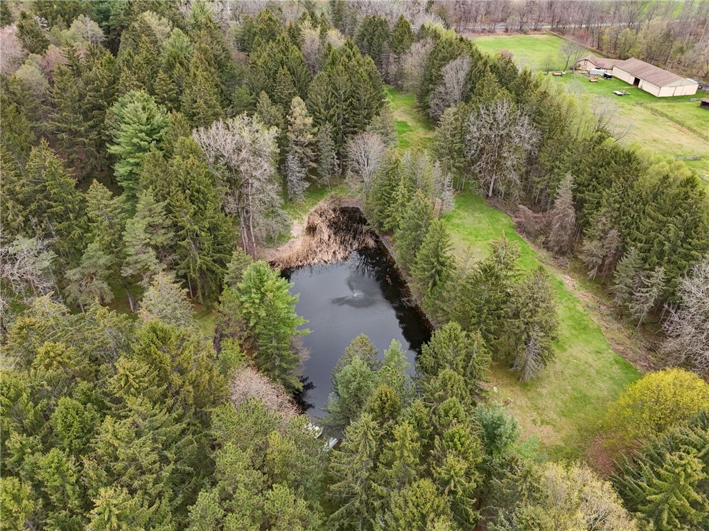 260 Mendon Center Road Mendon, NY 14472 - Photo 3 of 50