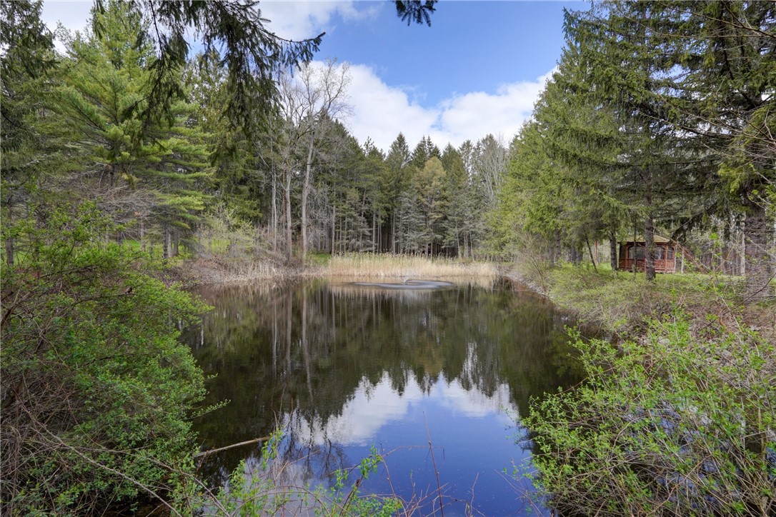 260 Mendon Center Road Mendon, NY 14472 - Photo 4 of 50