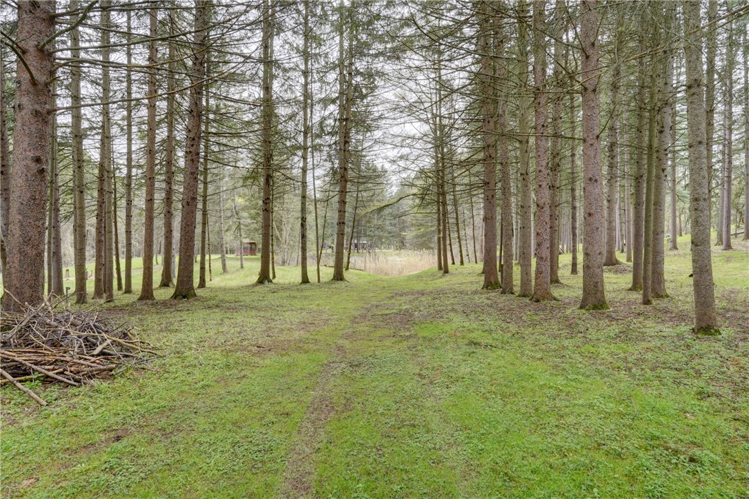 260 Mendon Center Road Mendon, NY 14472 - Photo 42 of 50