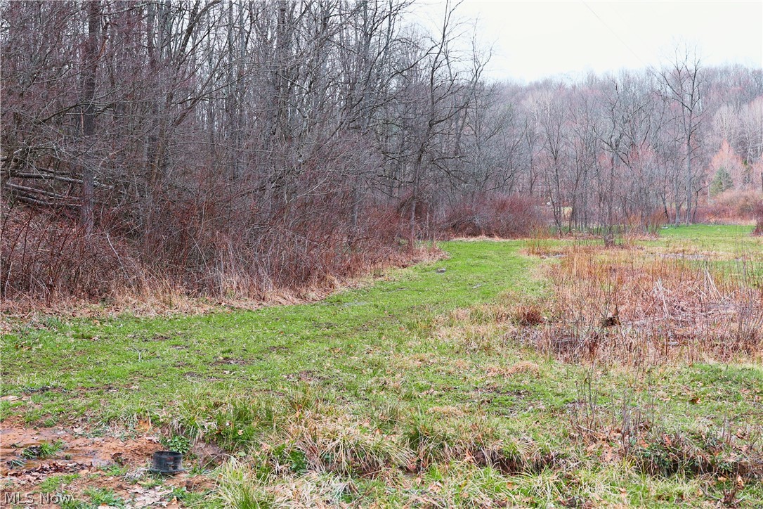 6030 Atkinson Creek Road Southeast Tippecanoe, OH 44699 - Photo 23 of 27