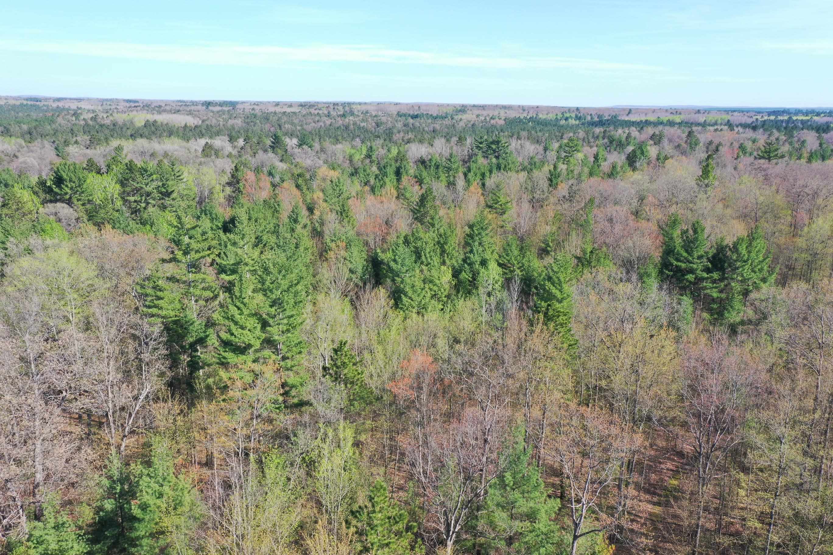 2433 Park Road Mio, MI 48647 - Photo 13 of 44 1899777-12.JPG