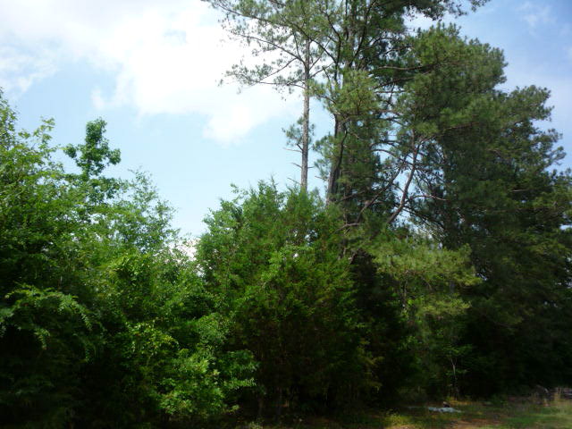 0 Gassaway Farm Road Abbeville, SC 29620 - Photo 1 of 1 Gallery Image 1