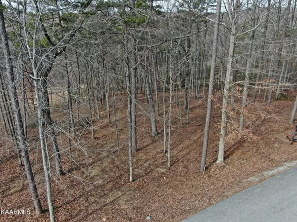 $119,000 | 8 & 9 Eagle Bluff, Jamestown, TN 38556